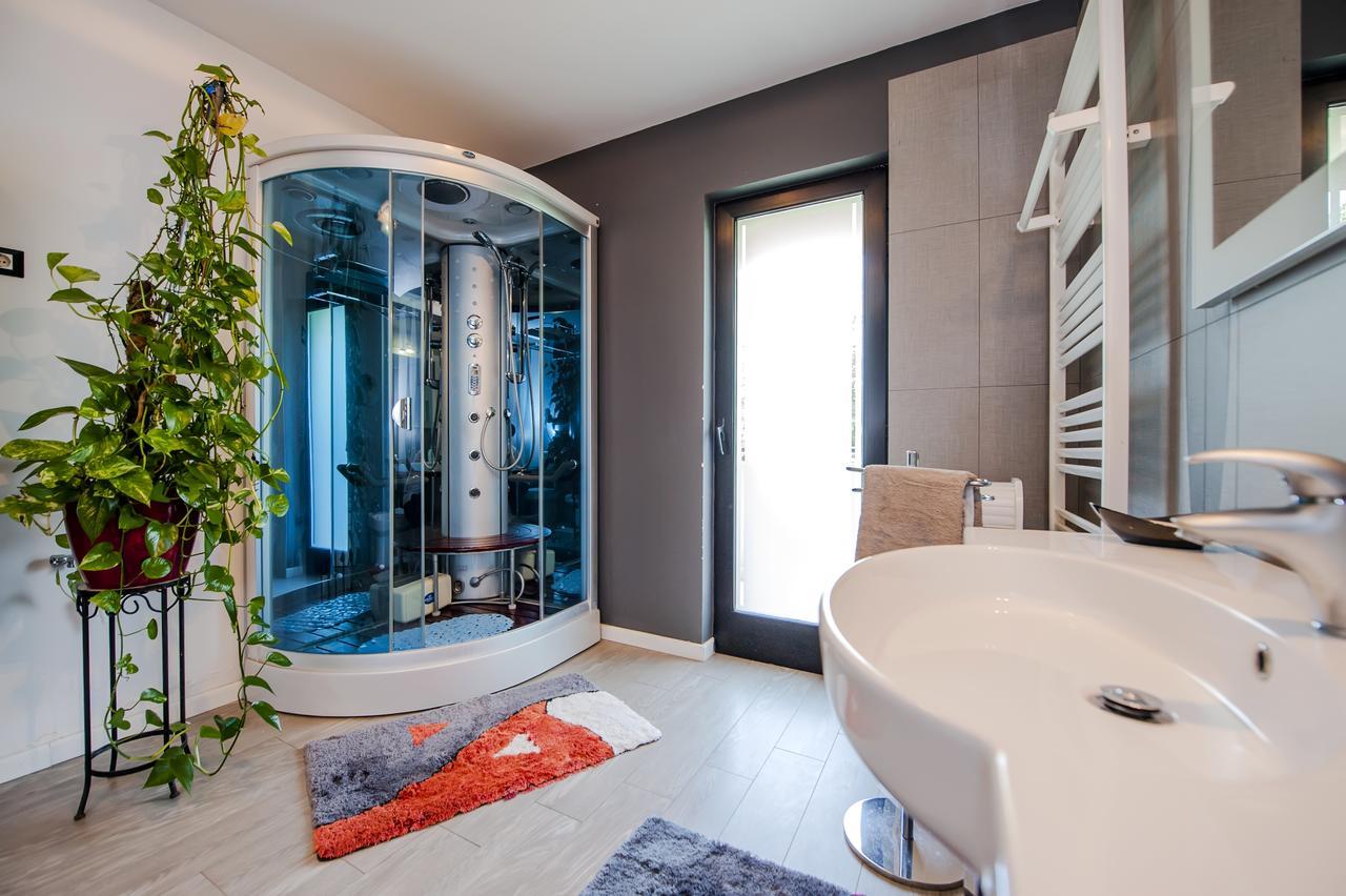 Cerin Apartment Ровин Екстериор снимка